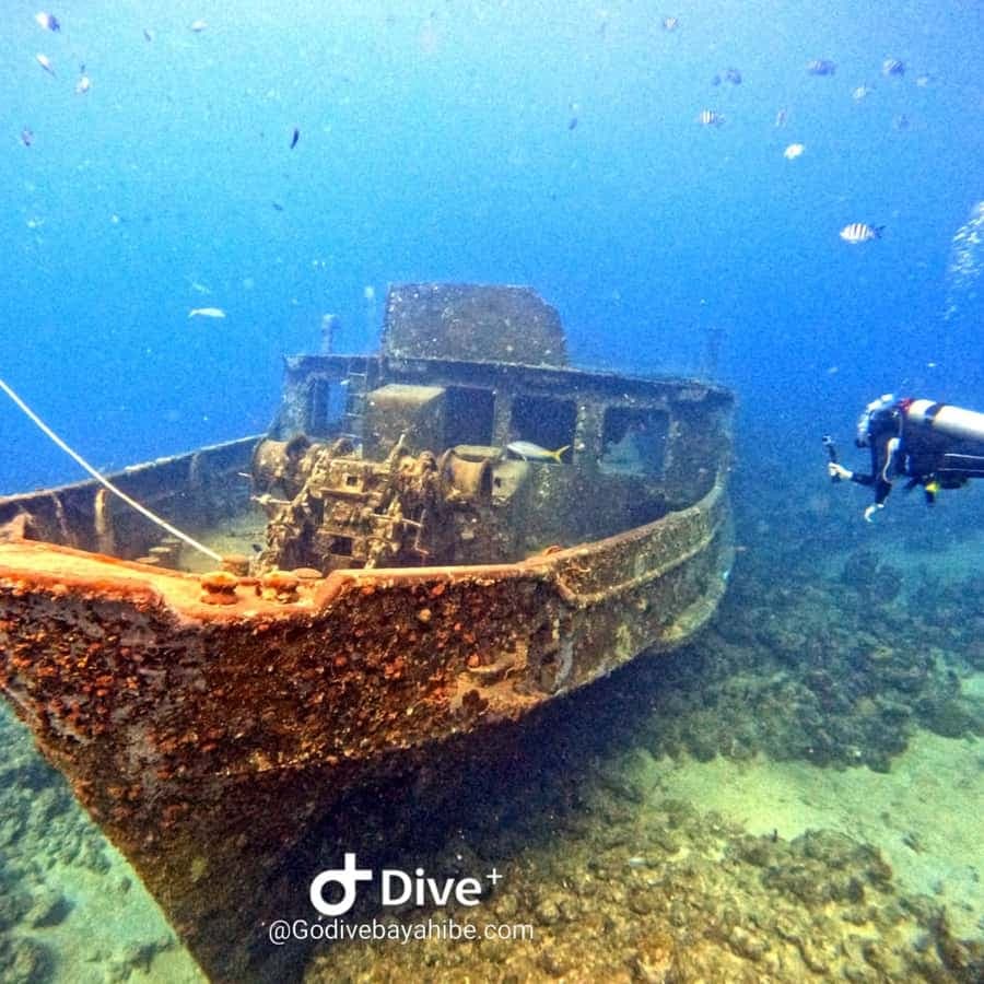 Bayahibe: Snorkeling Tour - Sea, Cotubanama park & Cenotes