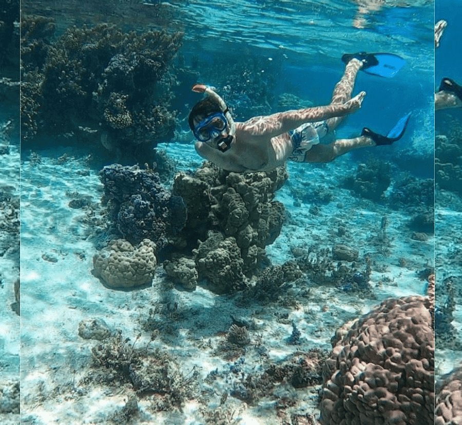 Punta Cana: Full-day Snorkelling Tour in Catalina Island