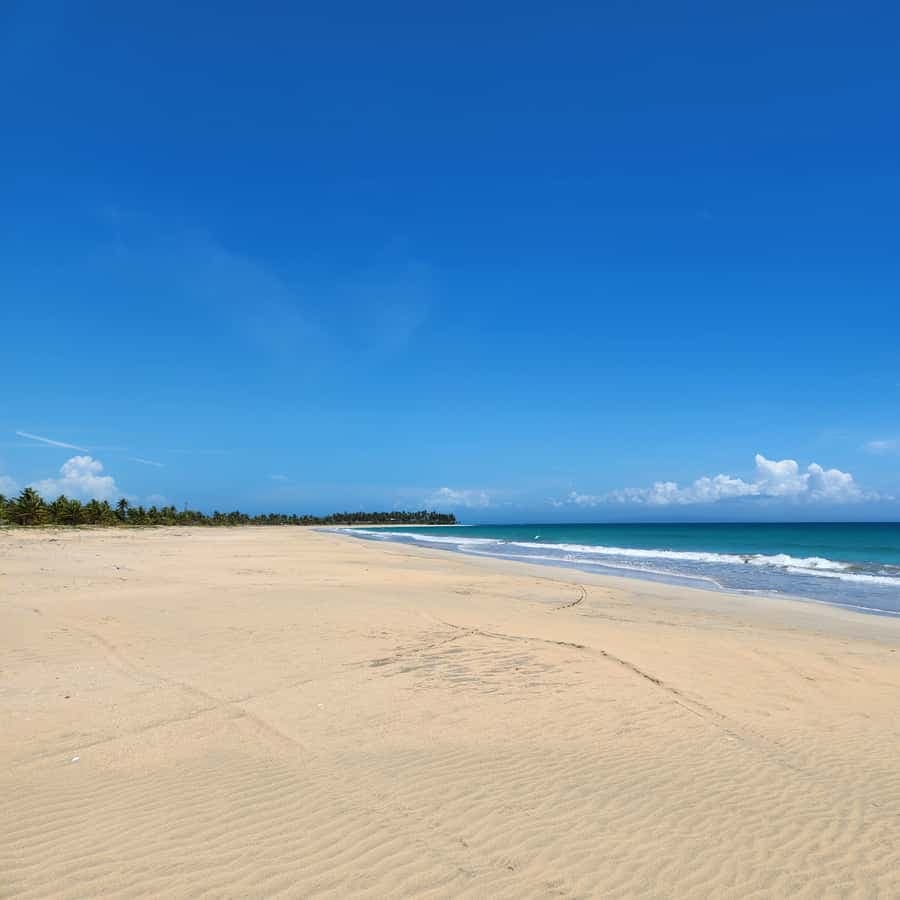 Los Haitises & Esmeralda Beach + Montana Redonda
