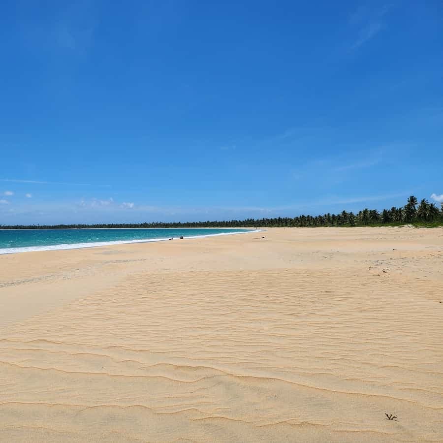 Los Haitises & Esmeralda Beach + Montana Redonda