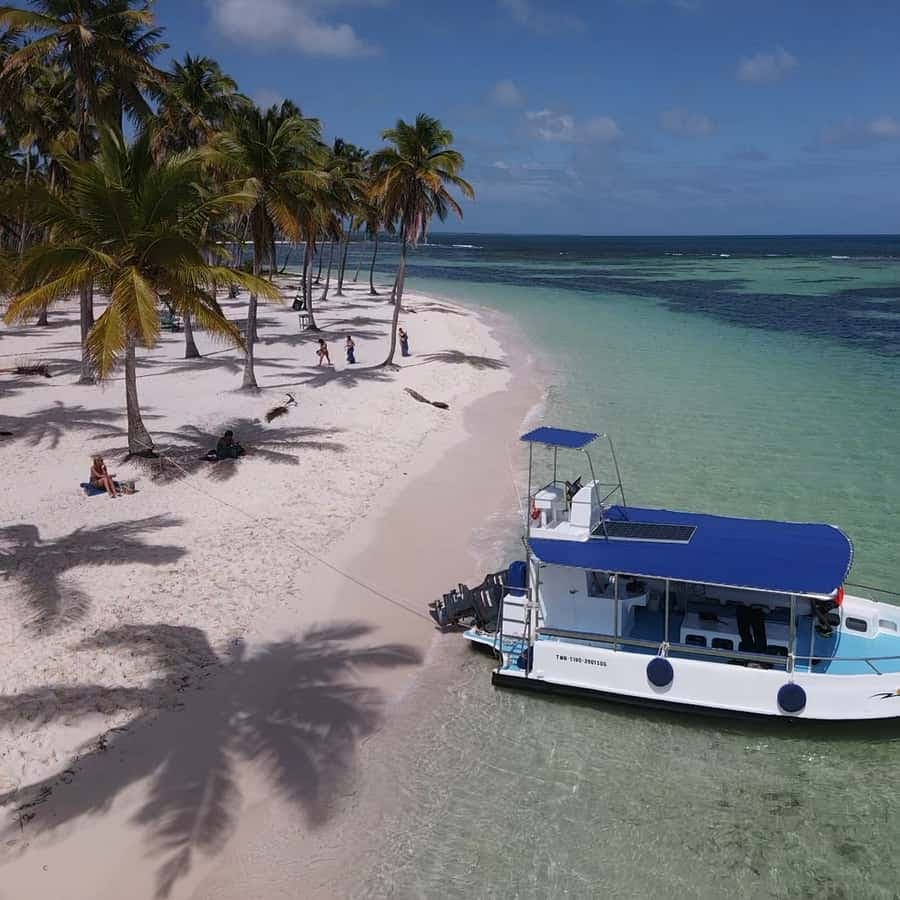 From La Romana: Saona Island for Aida Cruises Passengers
