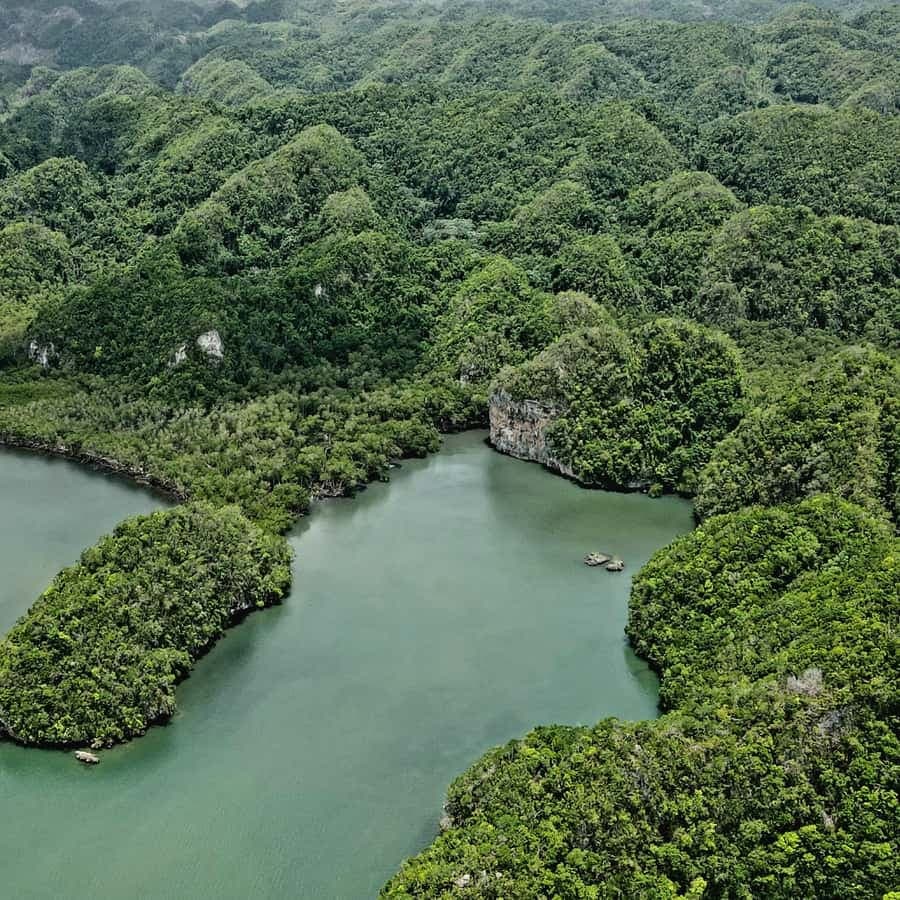 Punta Cana: Los Haitises Hike & Kayaking Mangroves