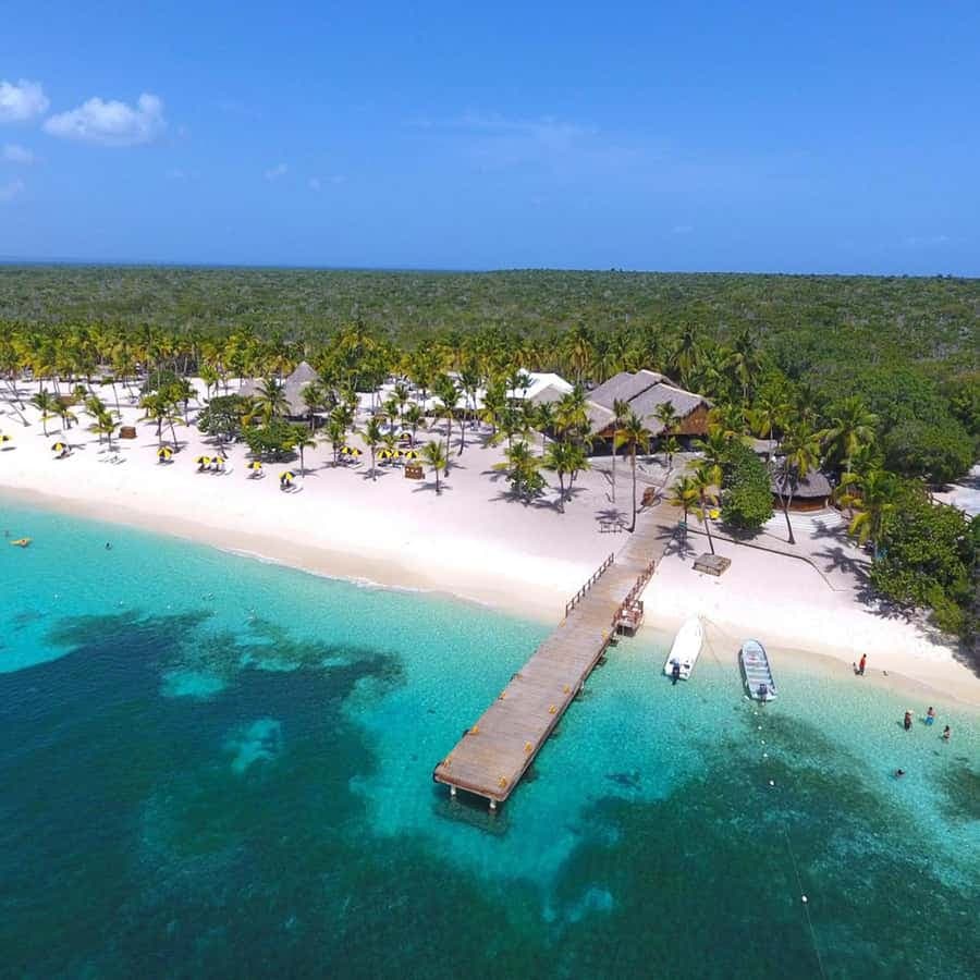 Bayahibe: Catalina Island Snorkeling and Diving Tour - Dominican Republic