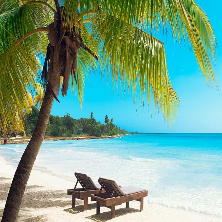 From La Romana: Saona Island All-Inclusive Day Trip
