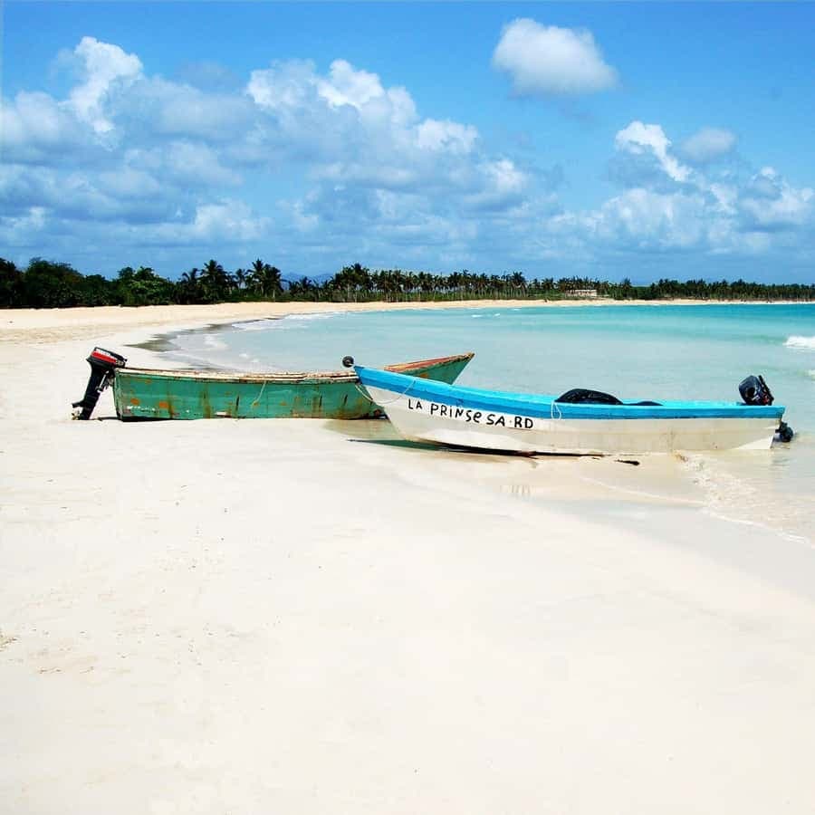 From Santo Domingo: Saona Island Catamaran Cruise with Lunch - Dominican Republic