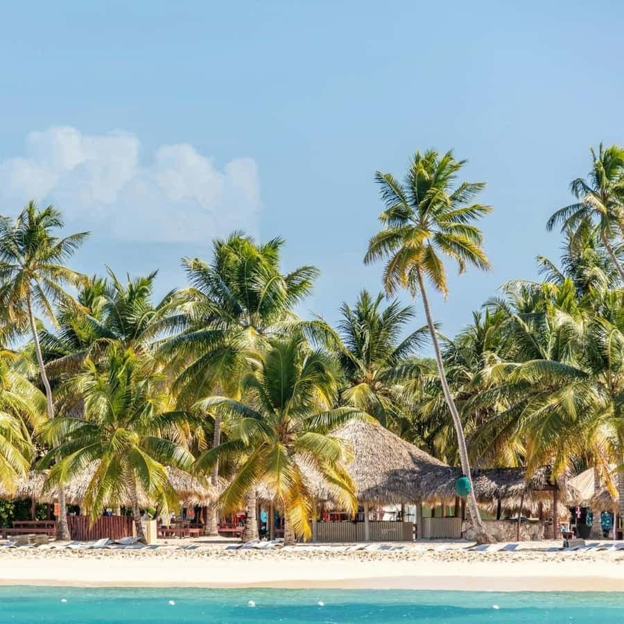 Saona Island Speedboat and Catamaran Cruise and Buffet Lunch