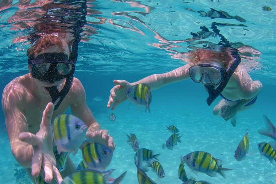 Punta Cana Private Catamaran (Small Group) - Dominican Republic