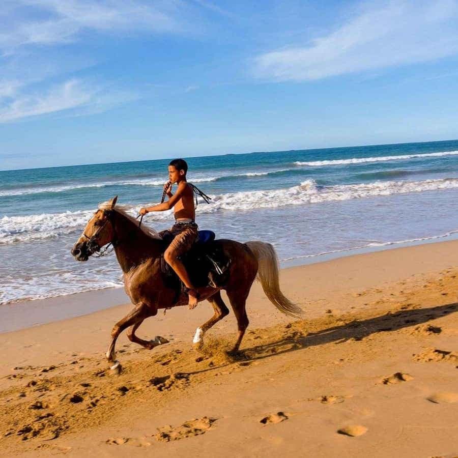 Coastal Trails & Culture: Horseback Sunset Experience
