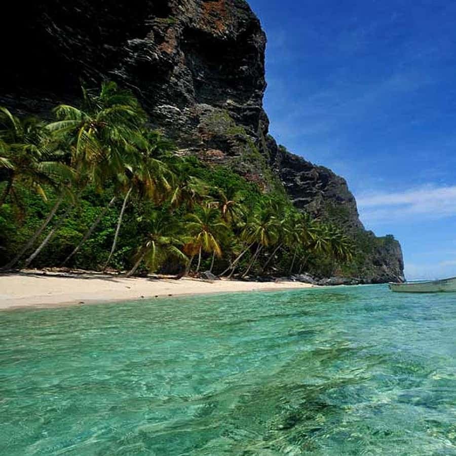 Punta Cana: Samana Safari Panoramic City Tour + Playa Rincon