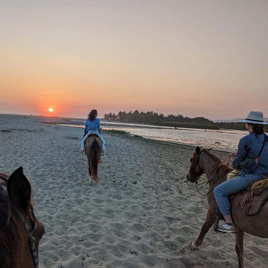 Coastal Trails & Culture: Horseback Sunset Experience