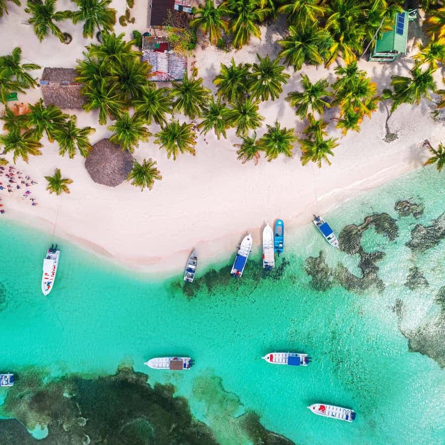 From Punta Cana: Saona Island Tour by Catamaran with Open Bar and Buffet