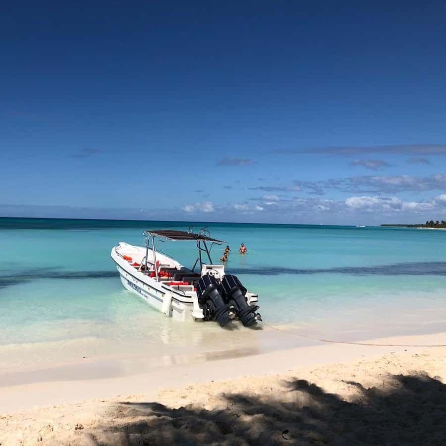 Isla Saona Wildlife Safari: Your All-Inclusive Escape