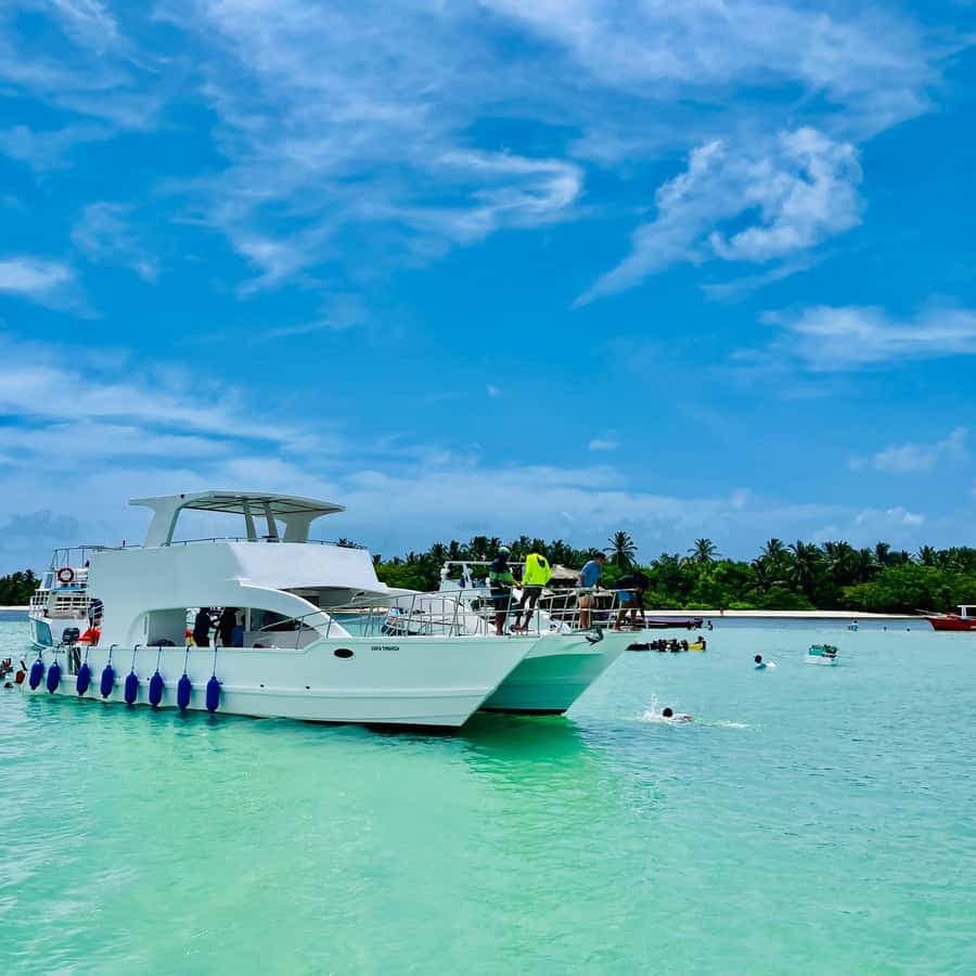 Punta Cana Private Catamaran Cruise, Open Bar & Snorkeling