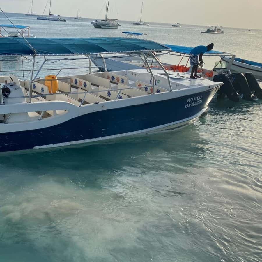 Saona Island from Punta Cana: Exclusive Beach Day Excursion