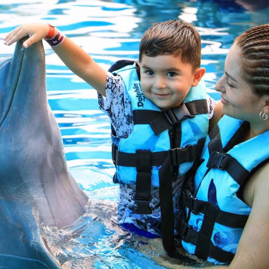 Punta Cana: Dolphin Discovery Park with Hotel Transfers