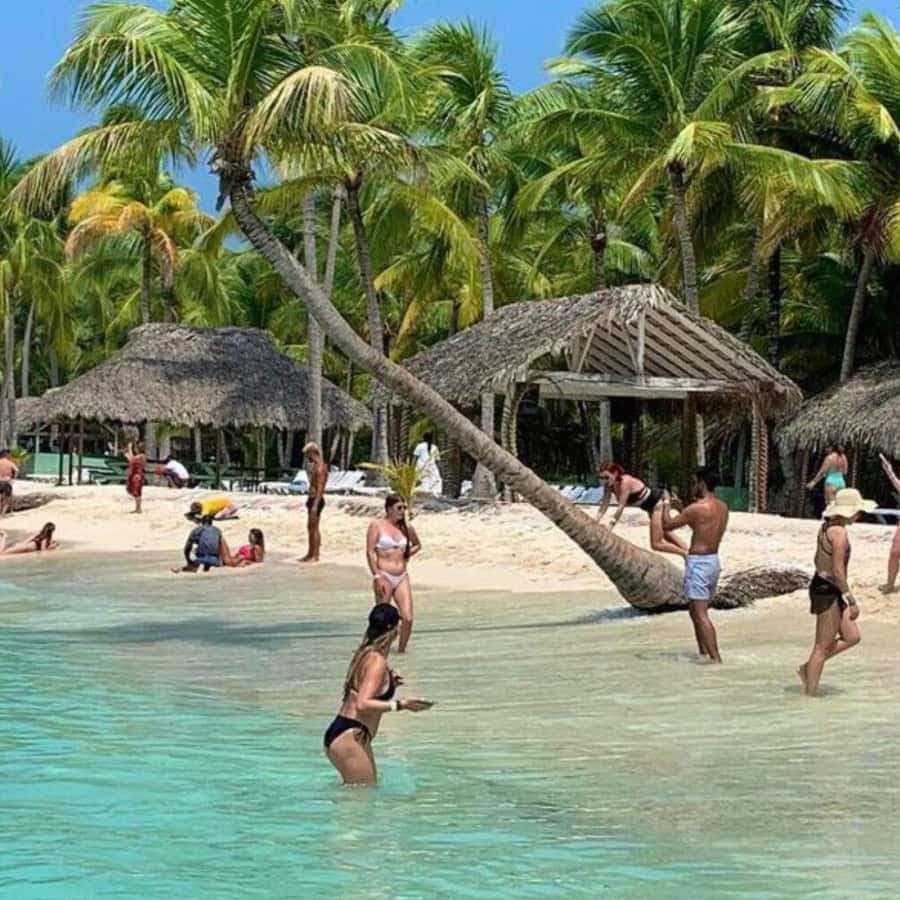 Bavaro: Saona Island Speedboat Tour with Open Bar - Dominican Republic