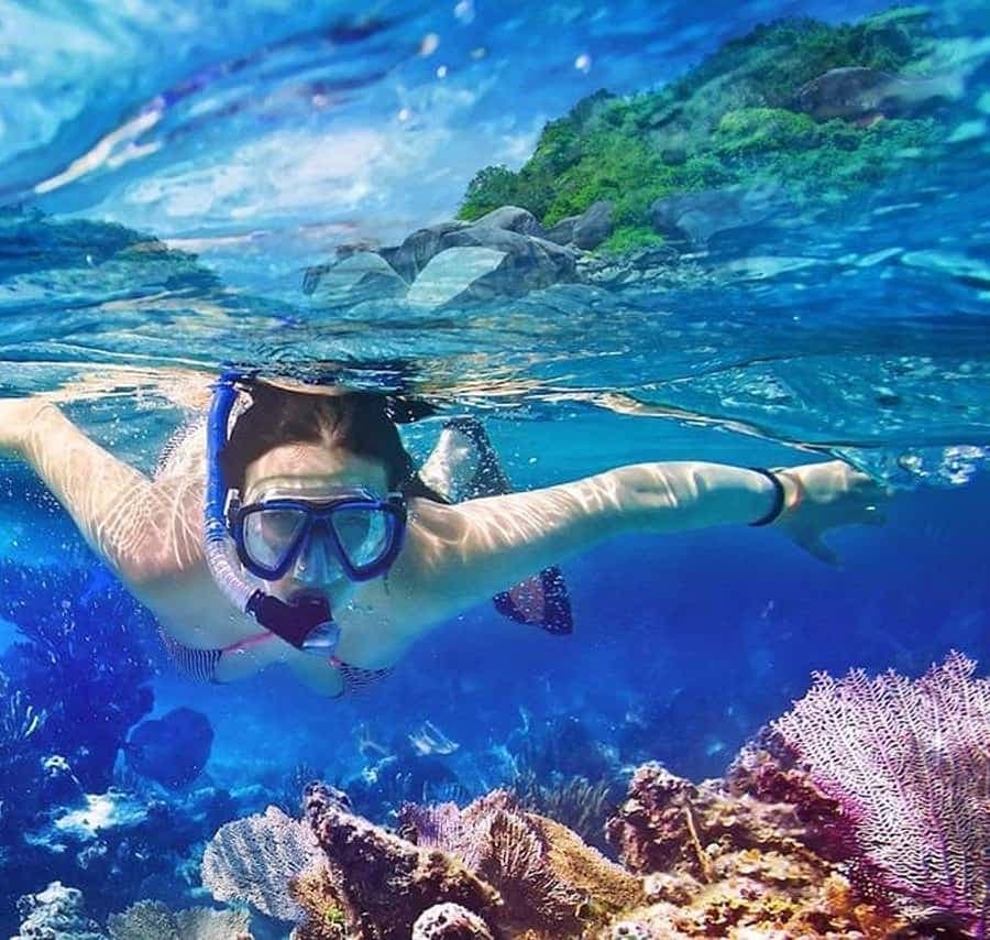 Punta Cana: Catalina Island Scuba Diving Day Trip