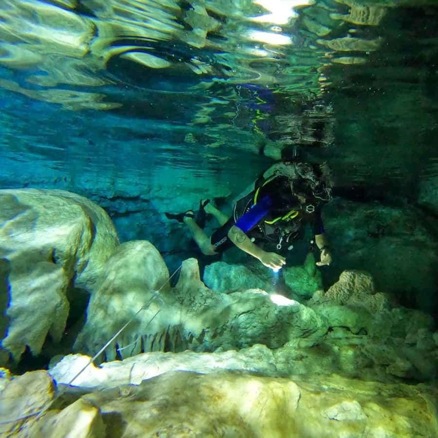 Punta Cana: Diving in Cavernes or Cenotes - Dominican Republic