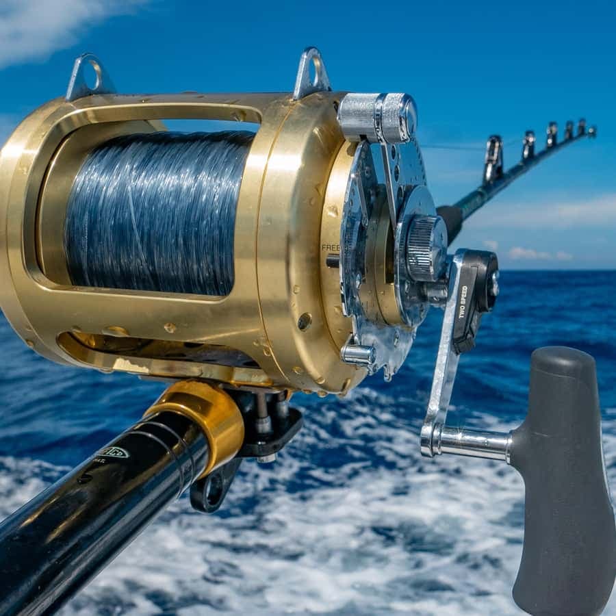 4 hour deep sea fishing experience from punta cana