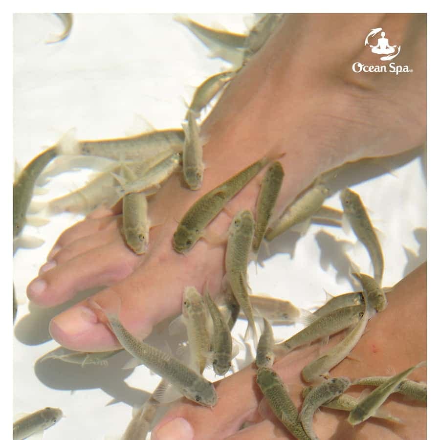 Punta Cana Floating Ocean Spa Experience with Massage & Yoga