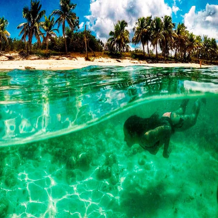 Bayahibe: Catalina Island Scuba Diving Tour with Lunch