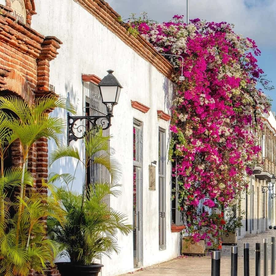 Punta Cana: Santo Domingo Tour with Lunch & Transfers