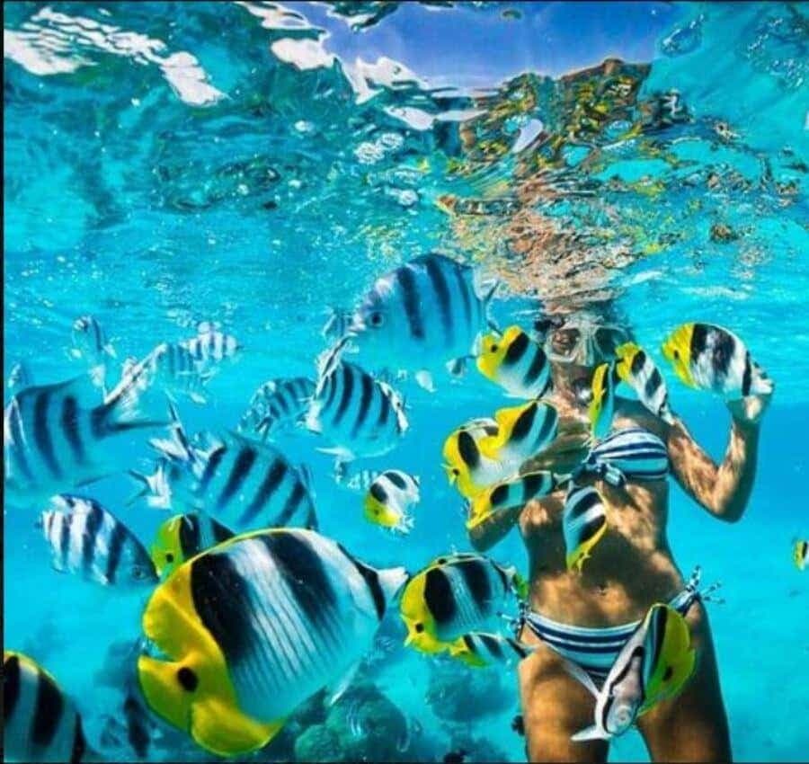 Speedboat Adventure and Snorkeling from Punta Cana