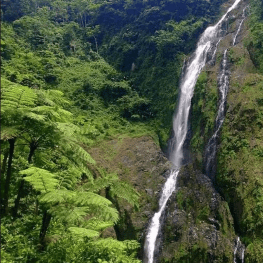 Punta Cana: Salto La Jalda & Montana redonda - Dominican Republic