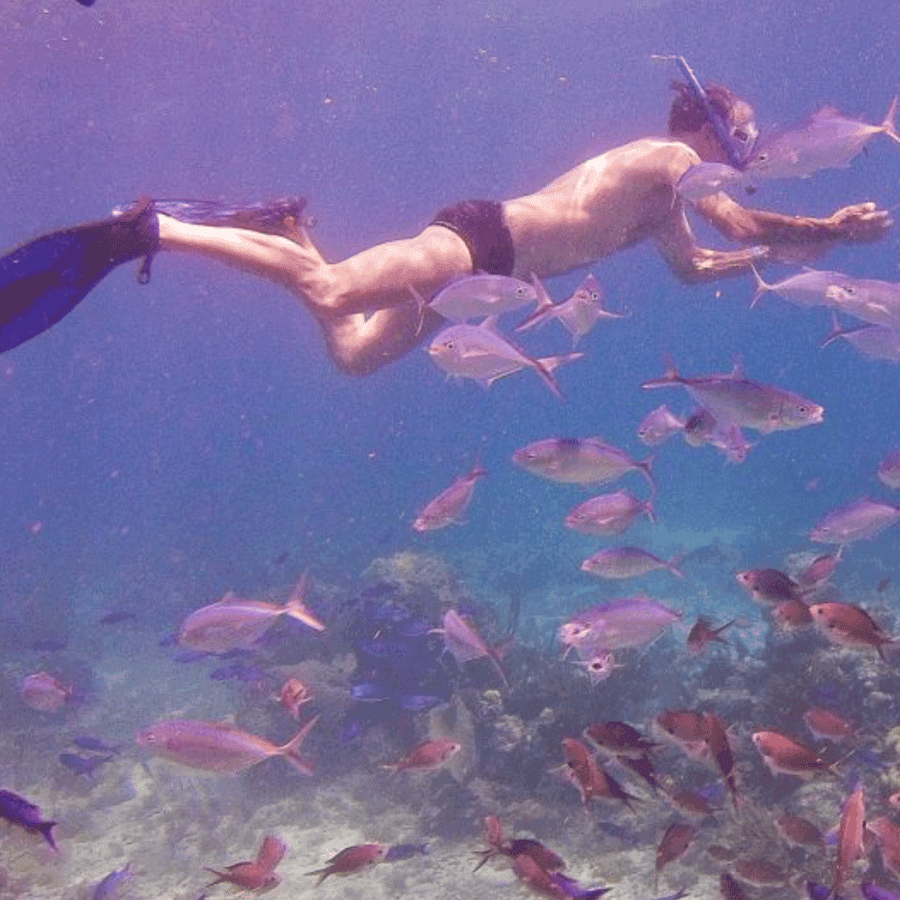 Catalina Island snorkeling Dominican Republic
