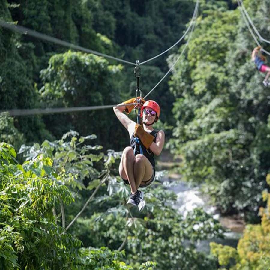 Punta Cana: Rainforest Zipline Adventure