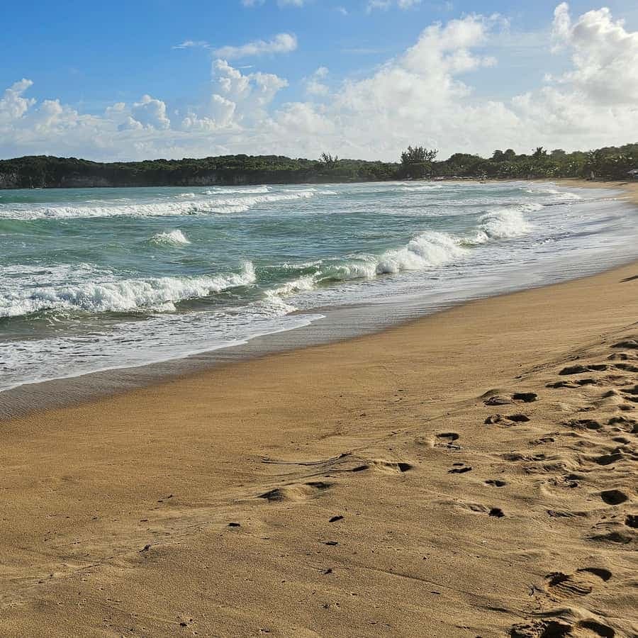 Individual full-day tour "Land & People" - from/to Bávaro/Punta Cana