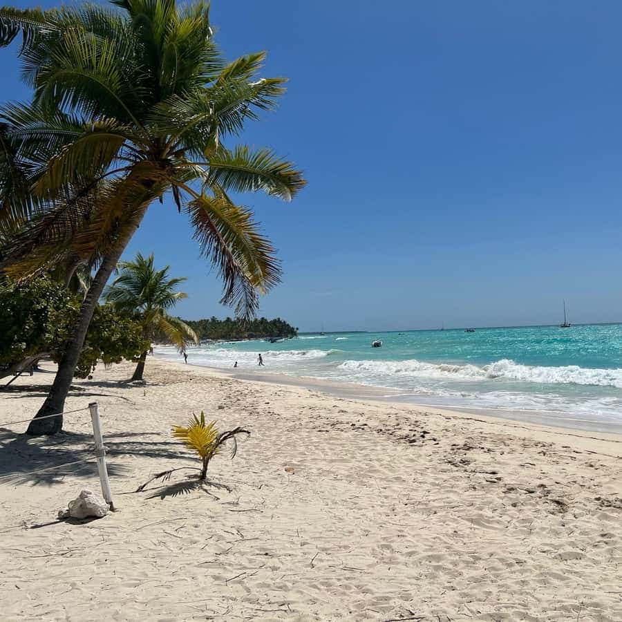 Saona Island & Chavon River Tour with Lunch & Drinks
