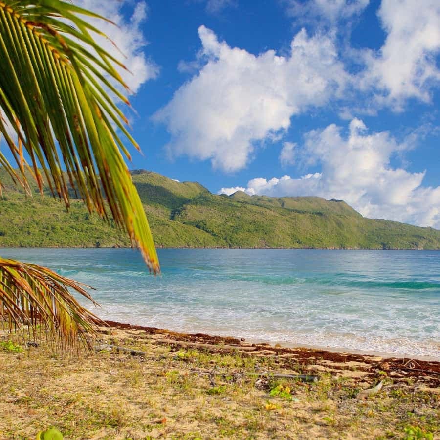 Samana Day Tour: Cayo Levantado & Rincon Bay Paradise