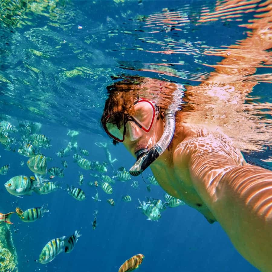Bayahibe: Catalina Island Snorkeling and Diving Tour