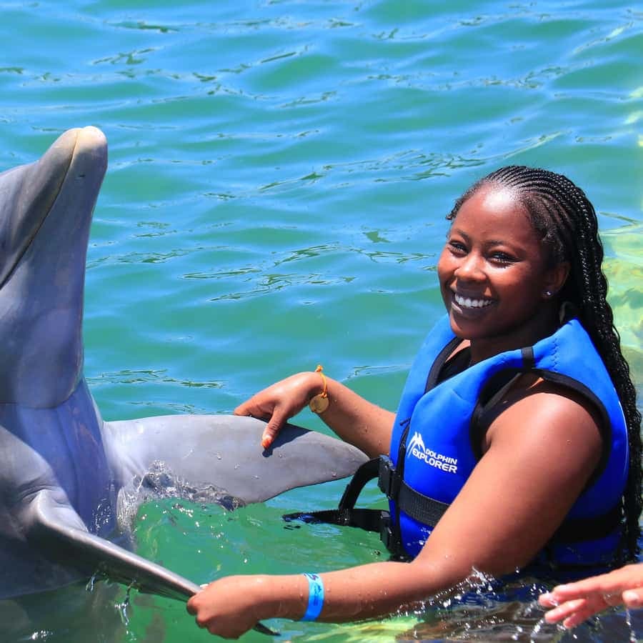Punta Cana Dolphin Experience: 50 Minutes of Water Fun