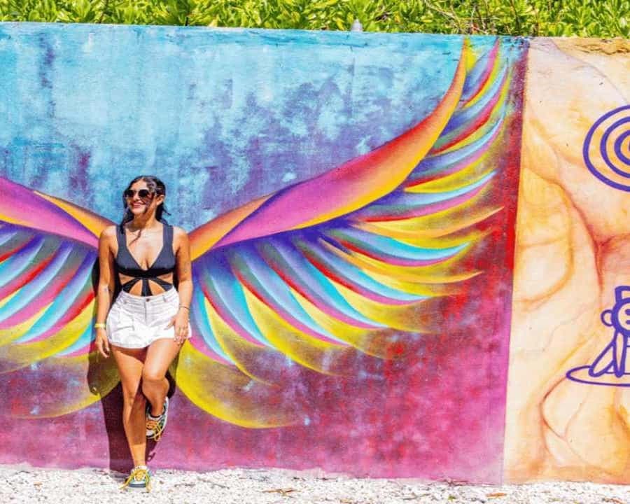 Punta Cana: Art and Forest Way Full-Day Tour with Lunch