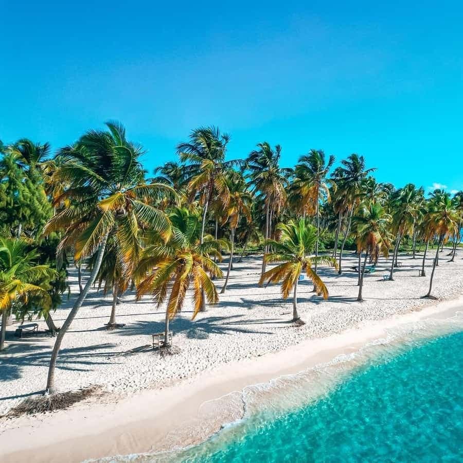 Punta Cana: Saona Island Full-Day Tour with Lunch - Dominican Republic