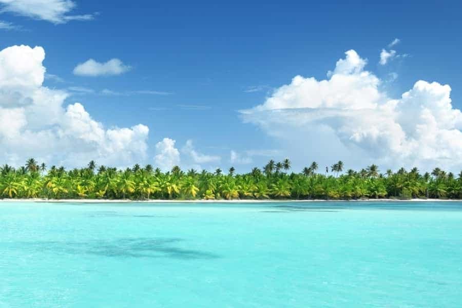 Punta Cana: Catalina Island Snorkeling Trip with Lunch