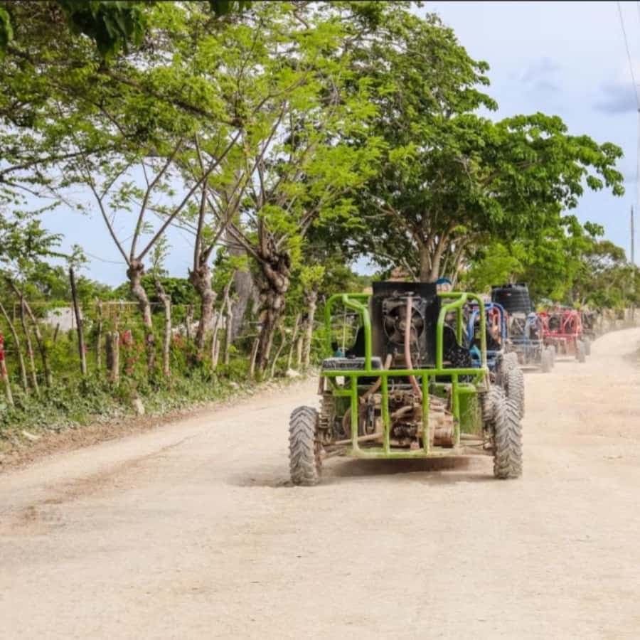 From Punta Cana or La Romana: Sugarcane Fields Buggy or Quad