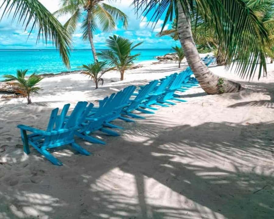 Carnevial Shore Excursion: Saona Island with Speedboat Ride - Dominican Republic