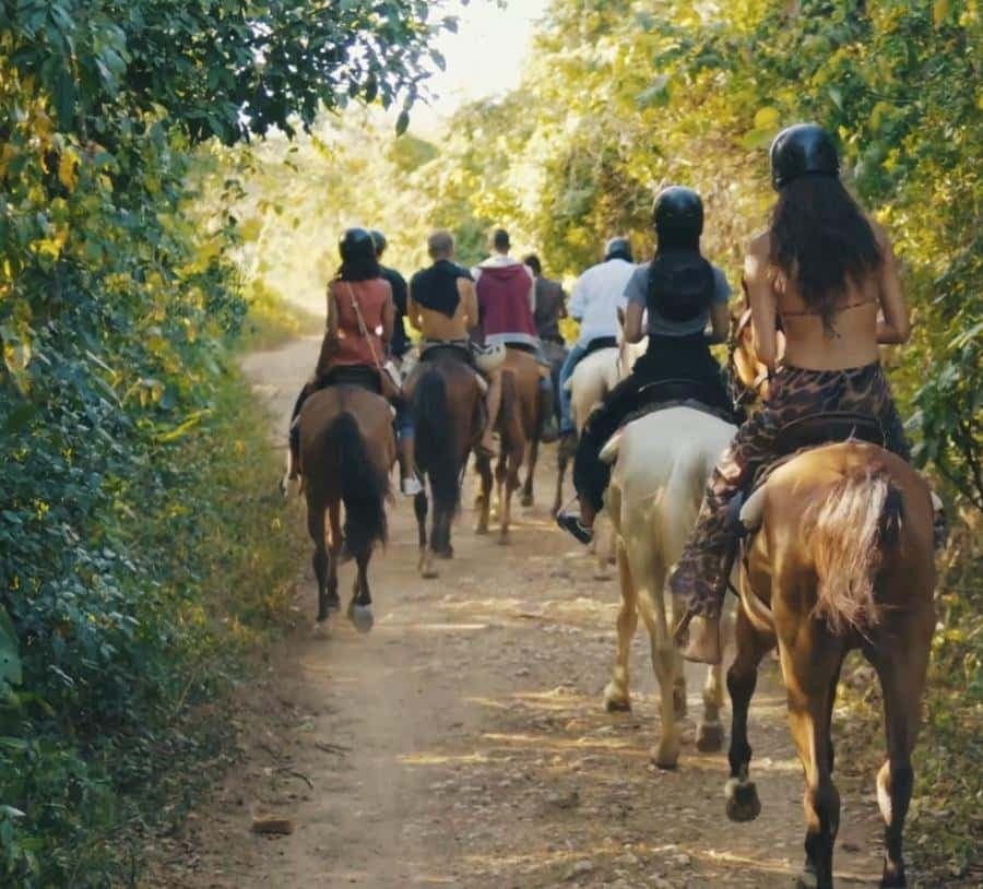 Punta Cana Horseback riding & Sunset + beach + free pick-up