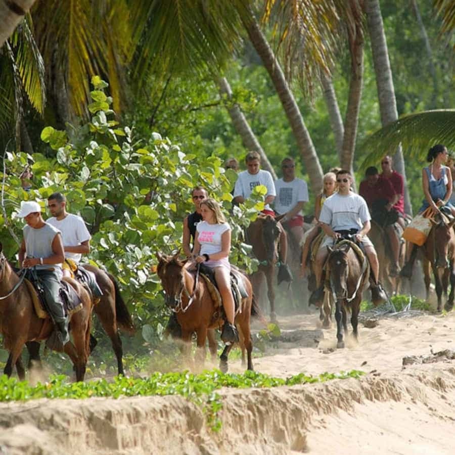 Samana, Ballenas, Cayo Levantado, Horseback Riding - Dominican Republic