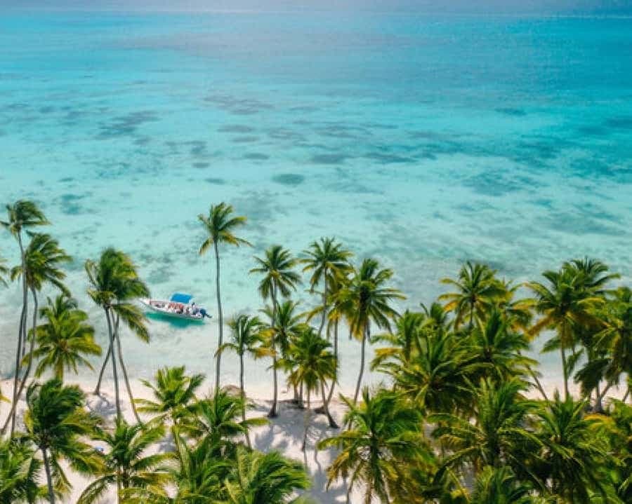 Saona Island: Catamaran/Speedboat Tour to a Dream Beach