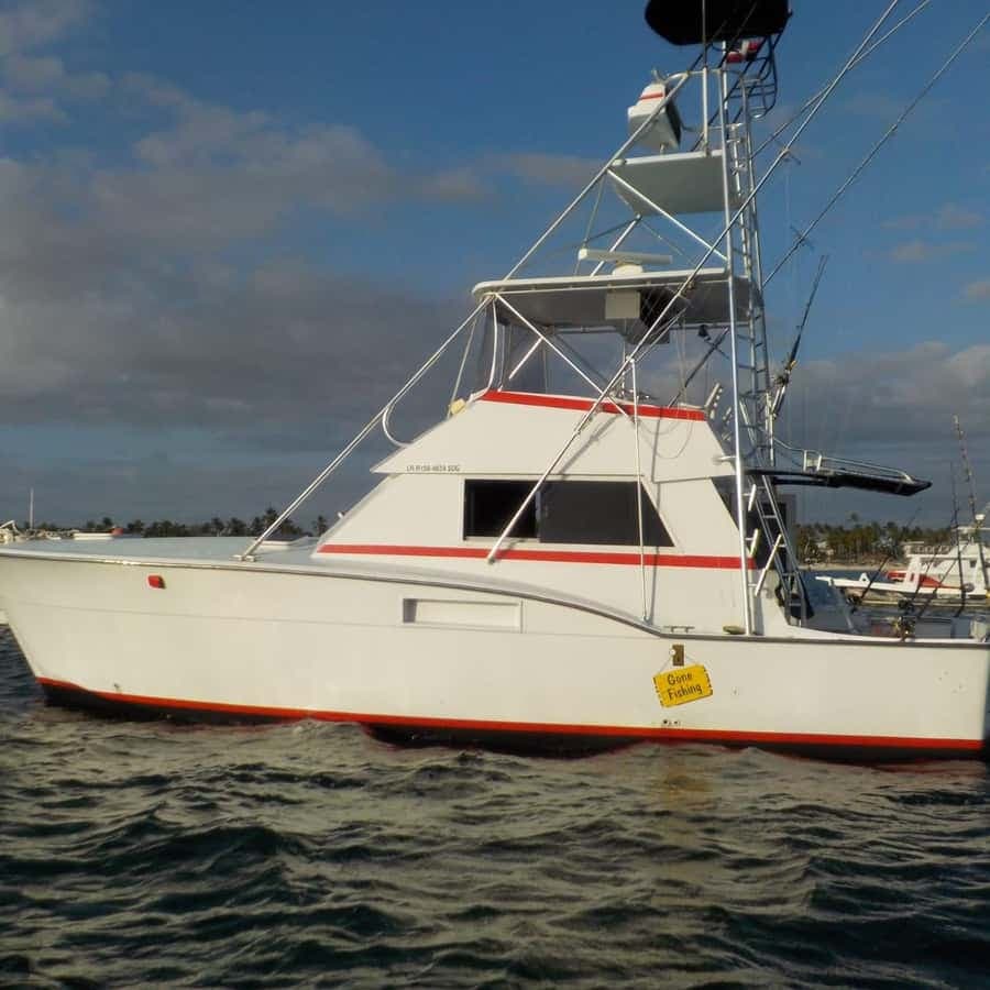 4 hours of deep sea fishing from Bavaro Punta Cana