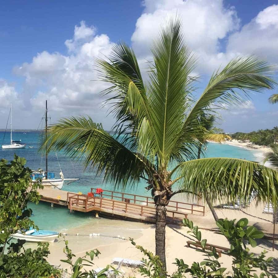 Punta Cana: Catalina Snorkeling & Altos de Chavón Day Trip