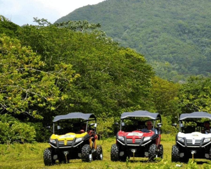 Punta Cana: Amazing Buggy Polaris and 4wheels