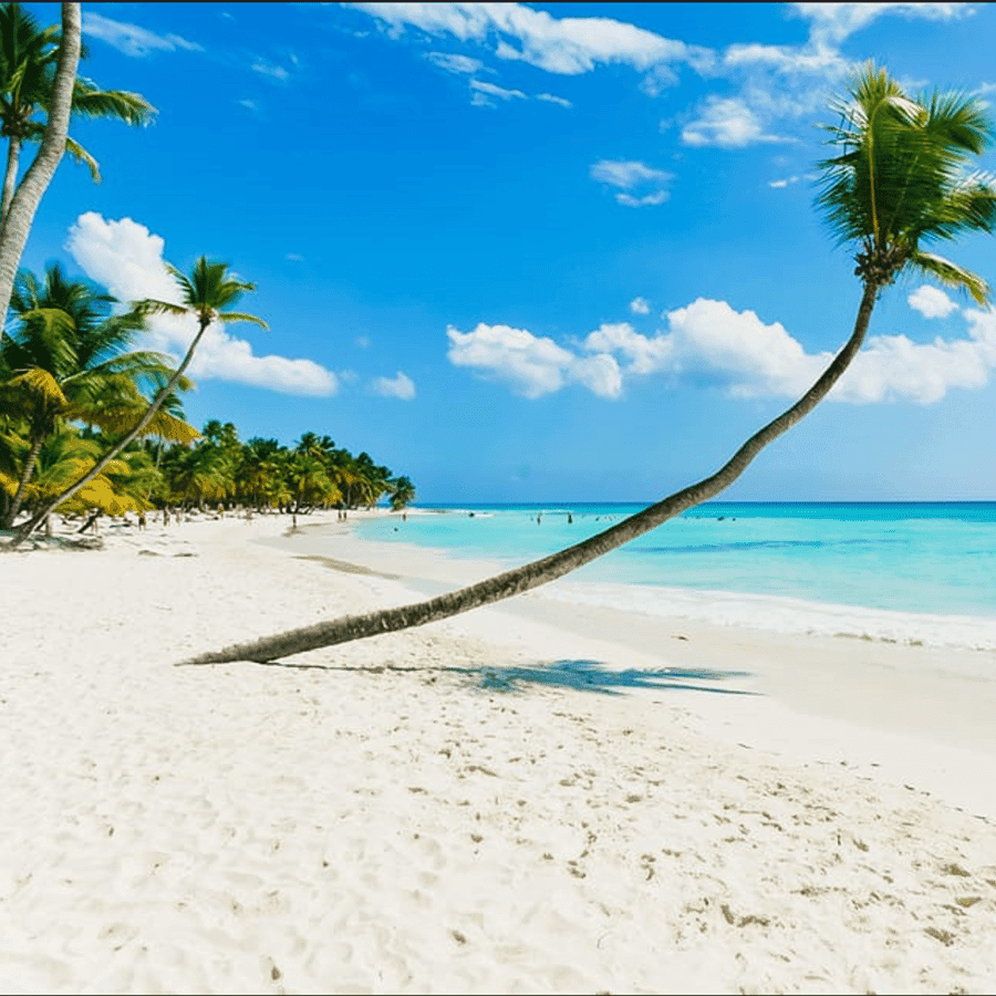 Saona Island Catamaran Cruise with Buffet