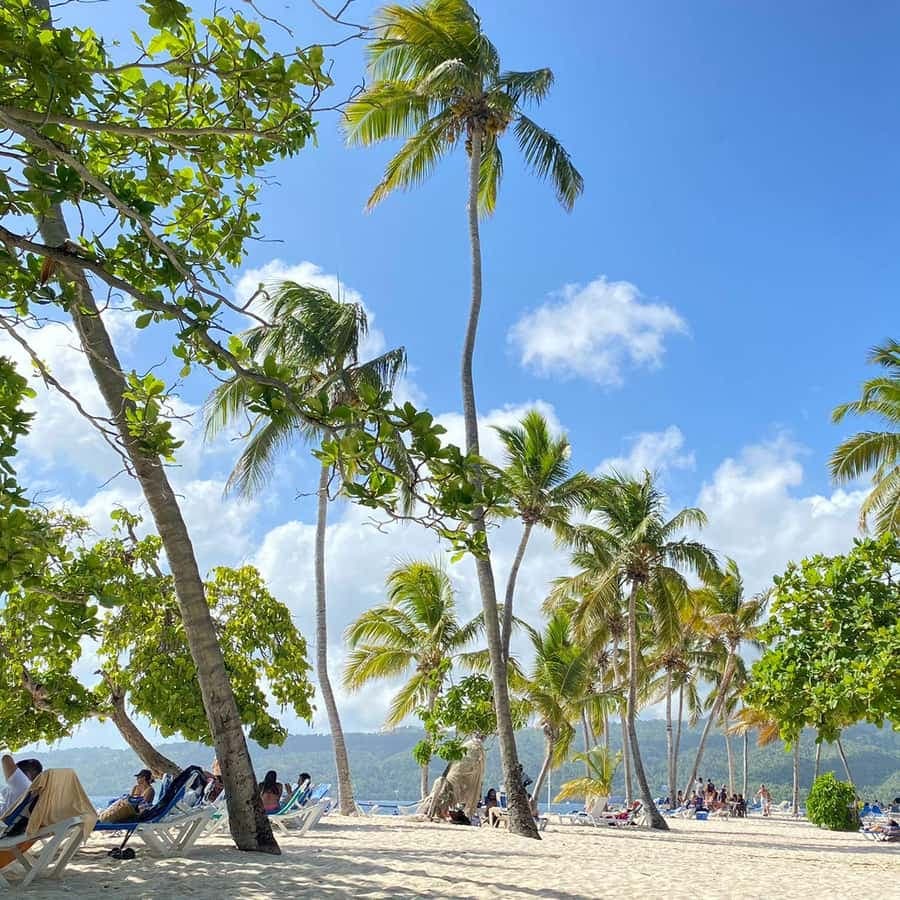 Rincon Beach and Cayo Levantado from Punta Cana