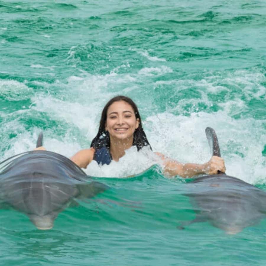 Punta Cana: Dolphin Experience