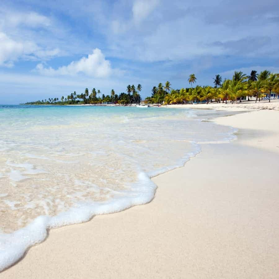 Boca Chica: Saona Island Full-Day Tour with Lunch